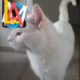 Malo