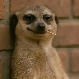 Lee